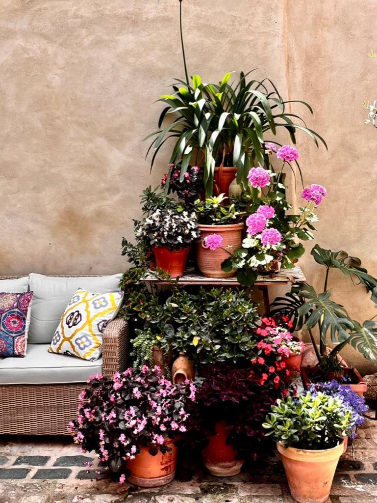 Oliva Courtyard Guesthouse Exterior foto